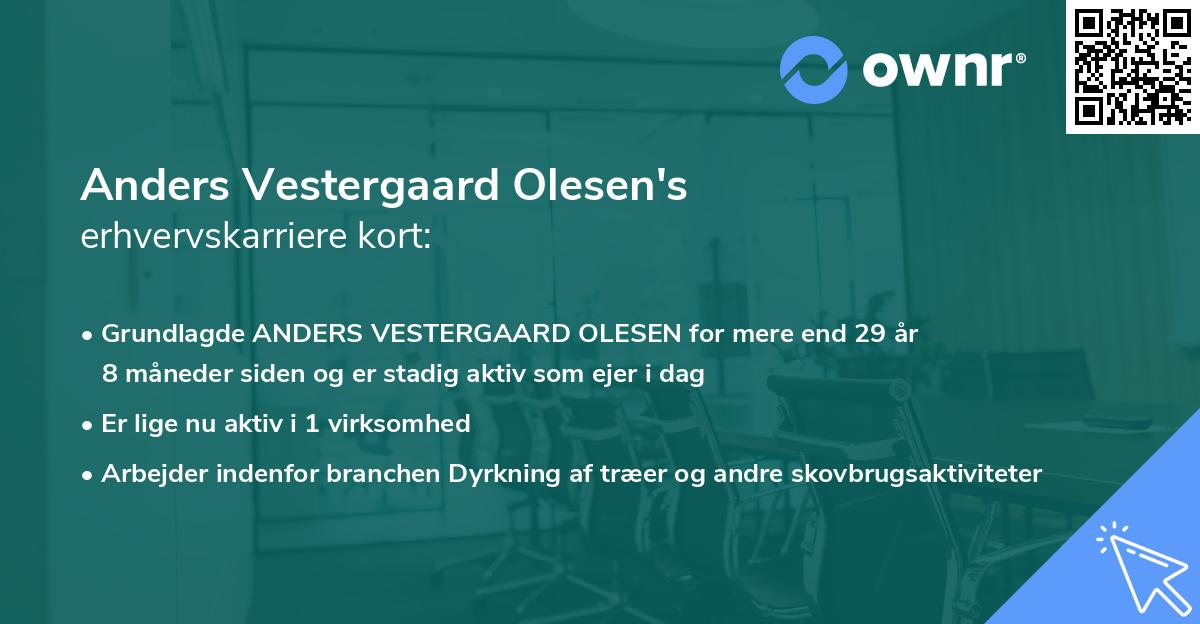 Anders Vestergaard Olesen's erhvervskarriere kort