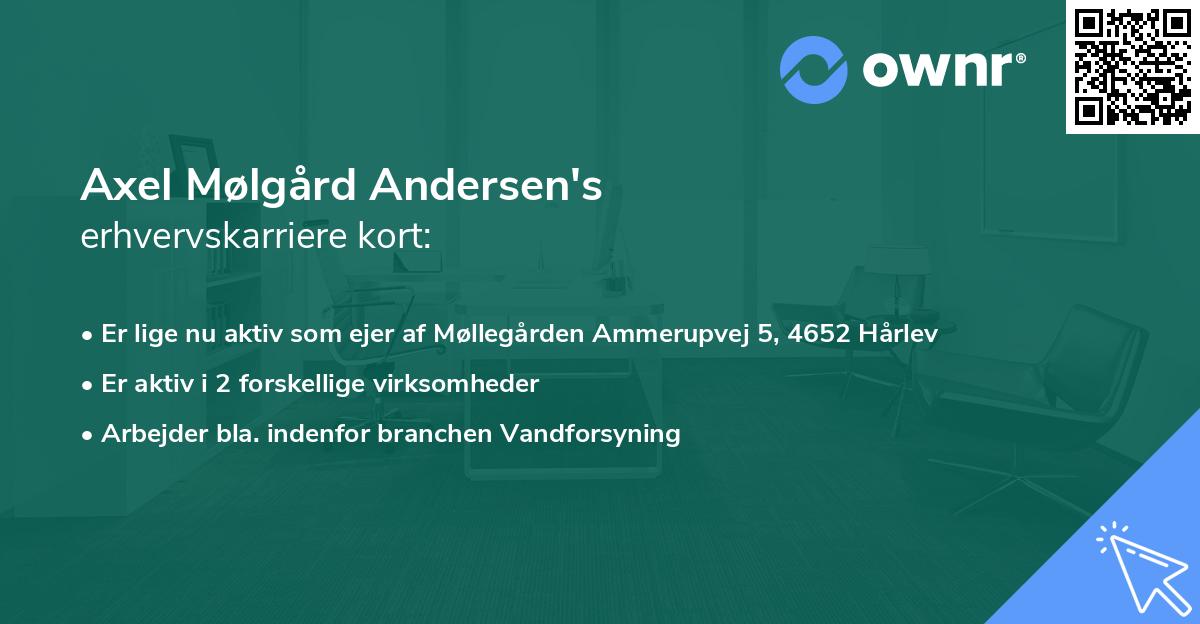 Axel Mølgård Andersen's erhvervskarriere kort