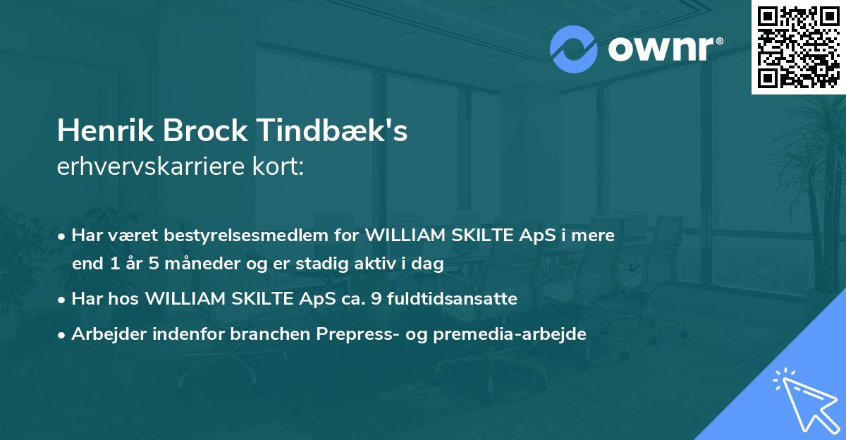 Henrik Brock Tindbæk's erhvervskarriere kort