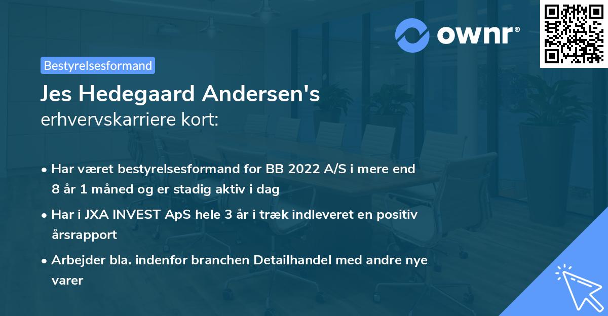 Jes Hedegaard Andersen's erhvervskarriere kort