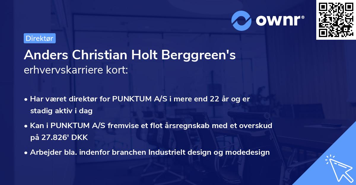 Anders Christian Holt Berggreen's erhvervskarriere kort