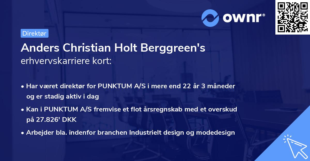Anders Christian Holt Berggreen's erhvervskarriere kort