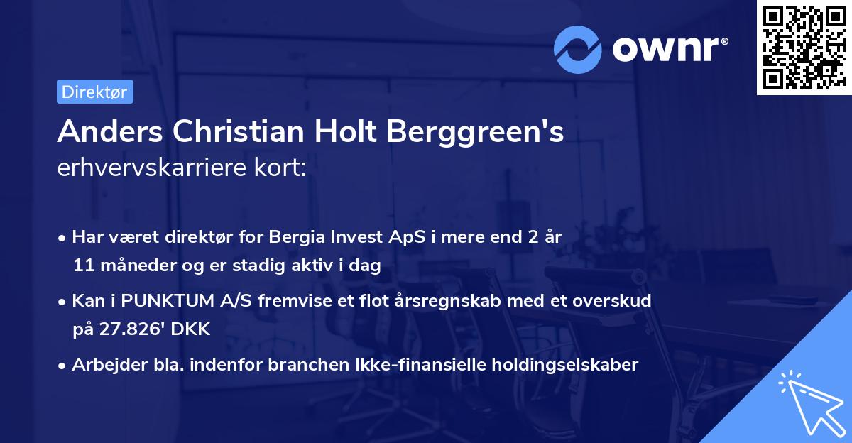 Anders Christian Holt Berggreen's erhvervskarriere kort