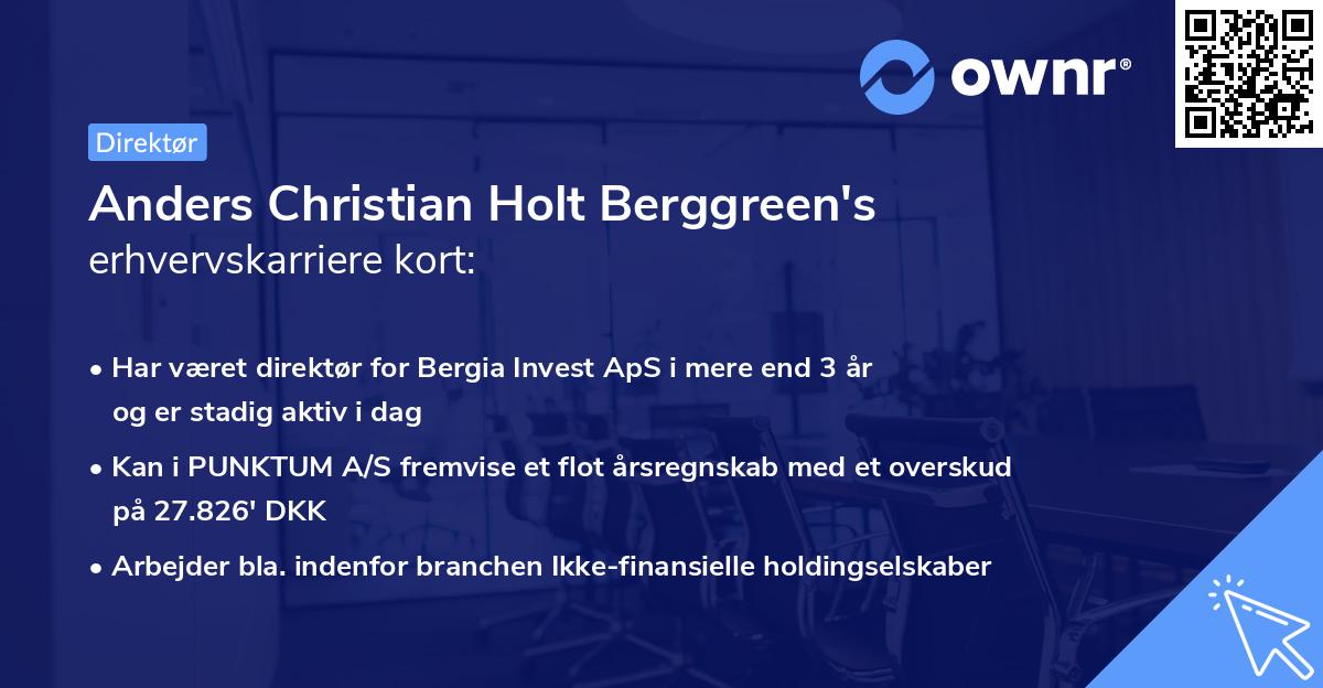 Anders Christian Holt Berggreen's erhvervskarriere kort