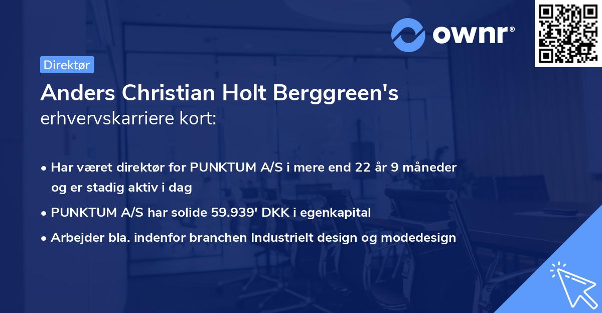 Anders Christian Holt Berggreen's erhvervskarriere kort