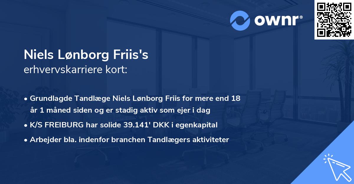 Niels Lønborg Friis's erhvervskarriere kort