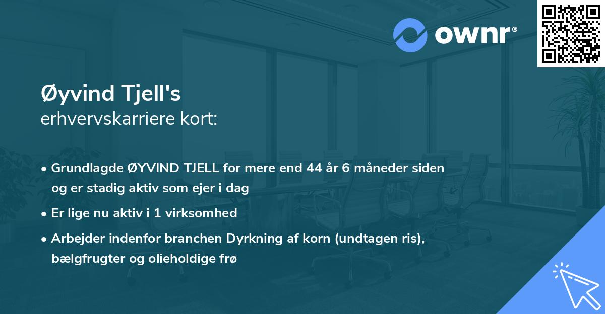 Øyvind Tjell's erhvervskarriere kort