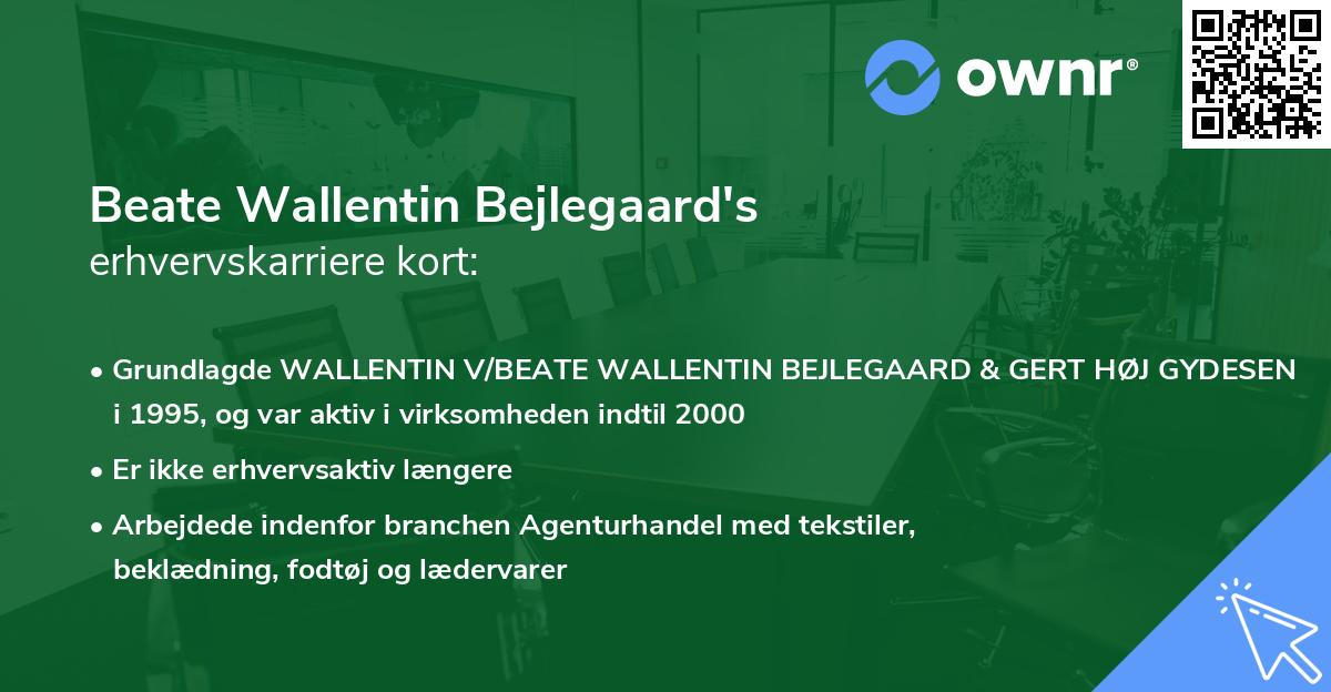 Beate Wallentin Bejlegaard's erhvervskarriere kort