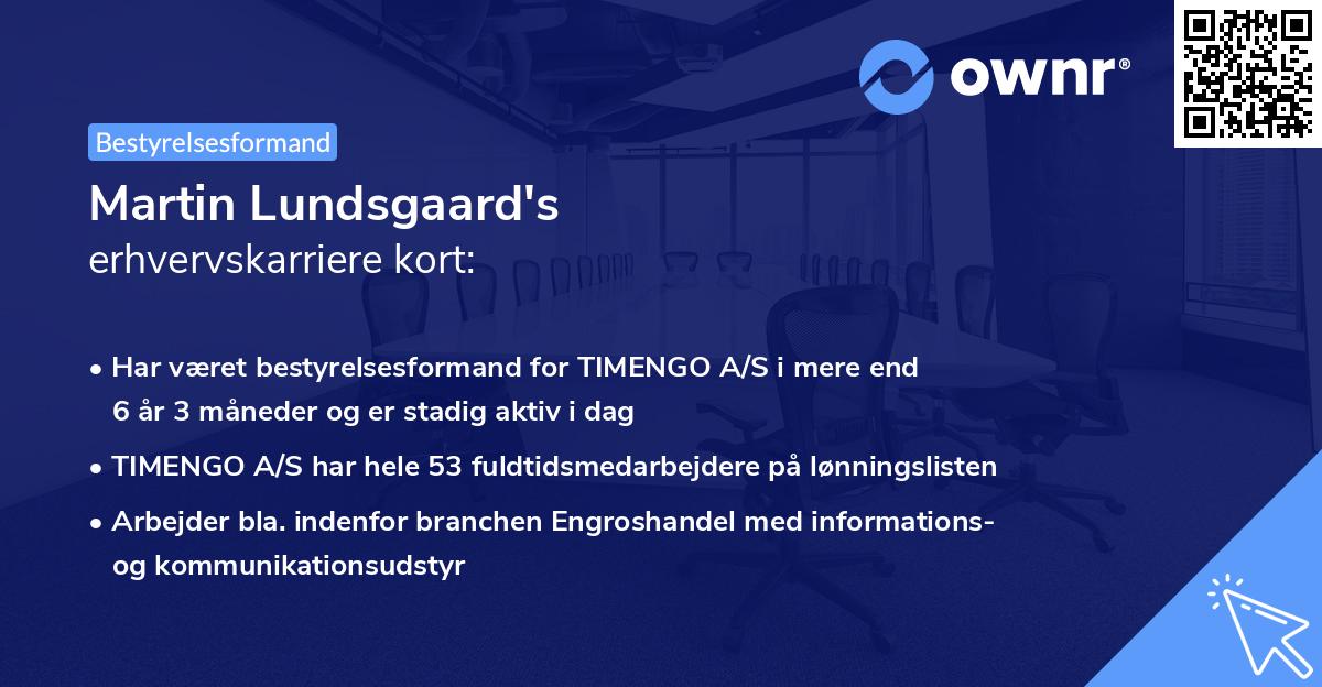 Martin Lundsgaard's erhvervskarriere kort