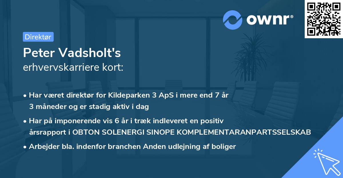 Peter Vadsholt's erhvervskarriere kort