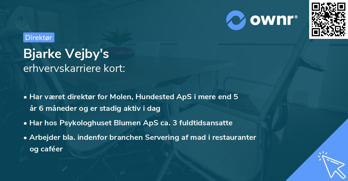 Bjarke Vejby's erhvervskarriere kort