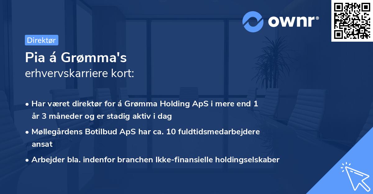 Pia á Grømma's erhvervskarriere kort