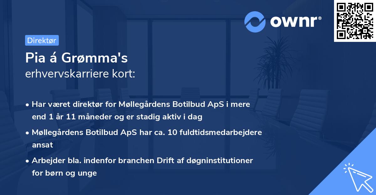 Pia á Grømma's erhvervskarriere kort