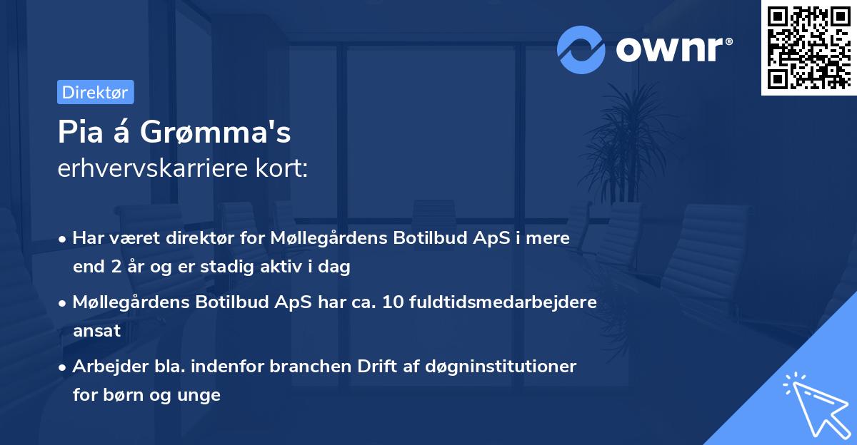 Pia á Grømma's erhvervskarriere kort