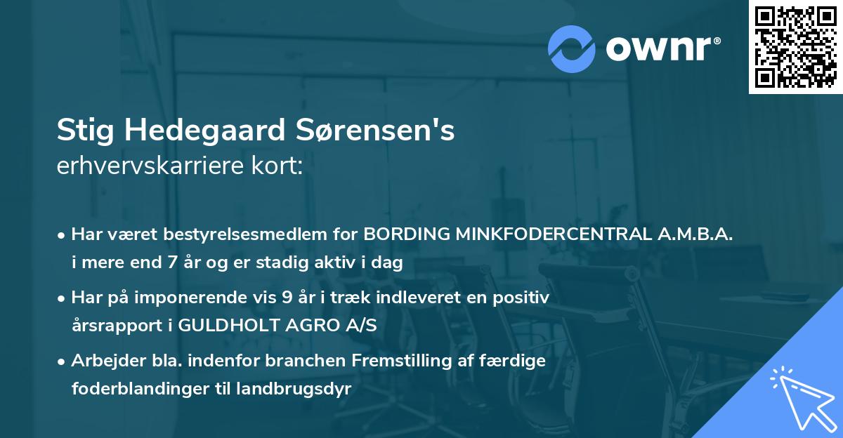 Stig Hedegaard Sørensen's erhvervskarriere kort