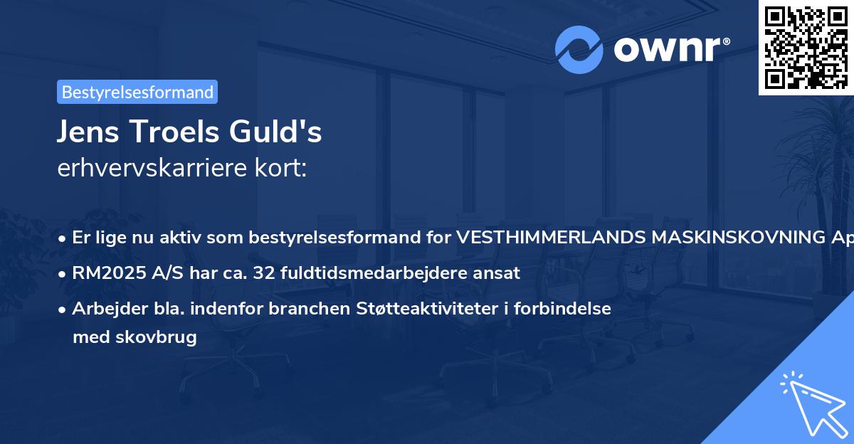 Jens Troels Guld's erhvervskarriere kort