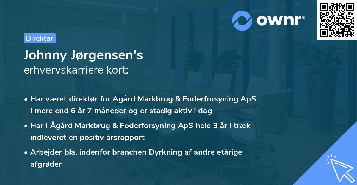 Johnny Jørgensen's erhvervskarriere kort