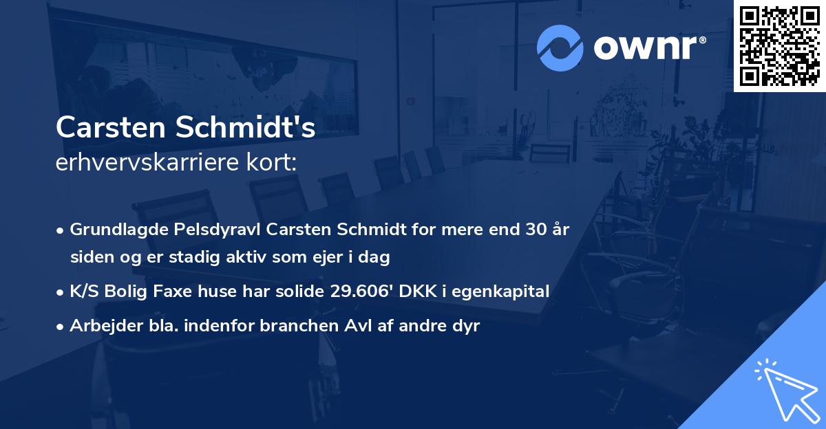 Carsten Schmidt's erhvervskarriere kort