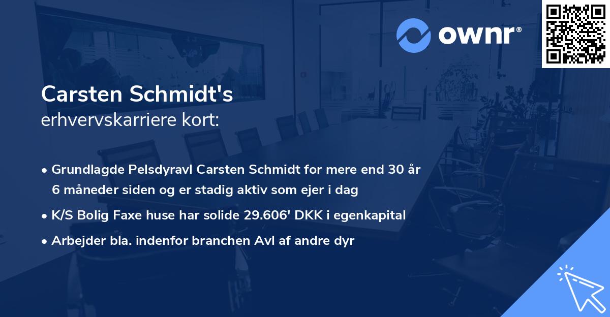 Carsten Schmidt's erhvervskarriere kort