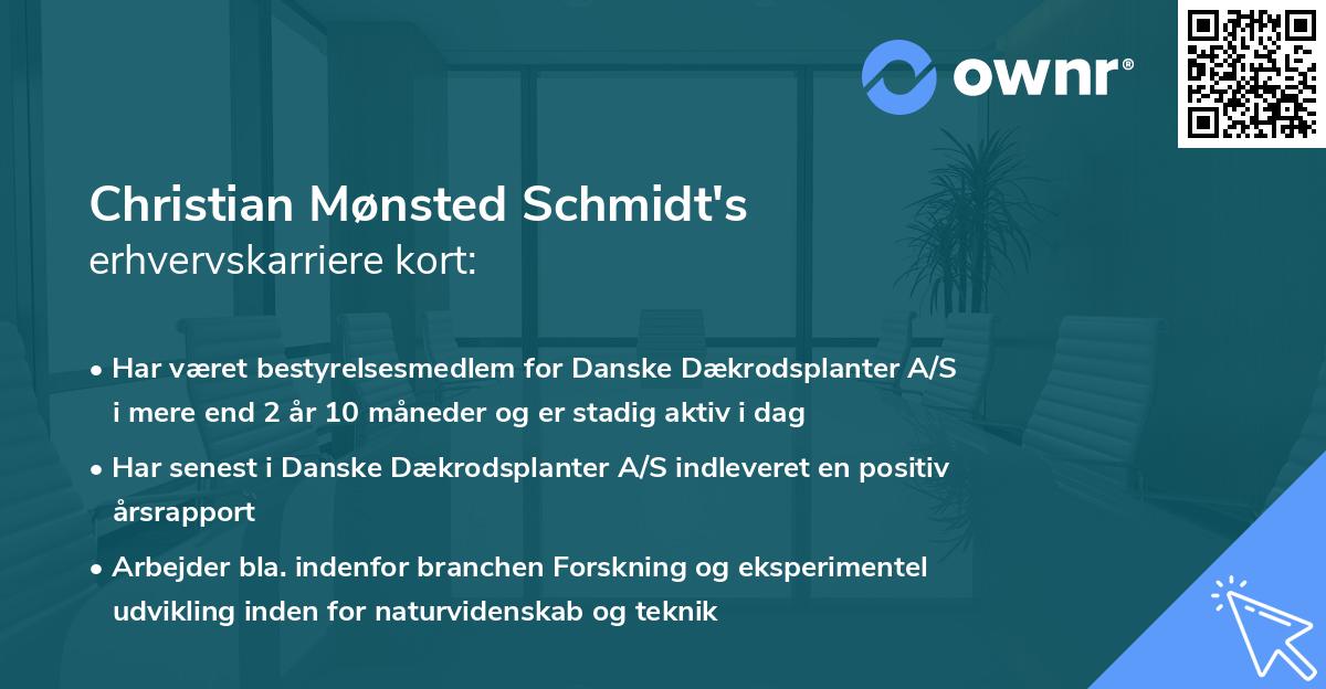 Christian Mønsted Schmidt's erhvervskarriere kort