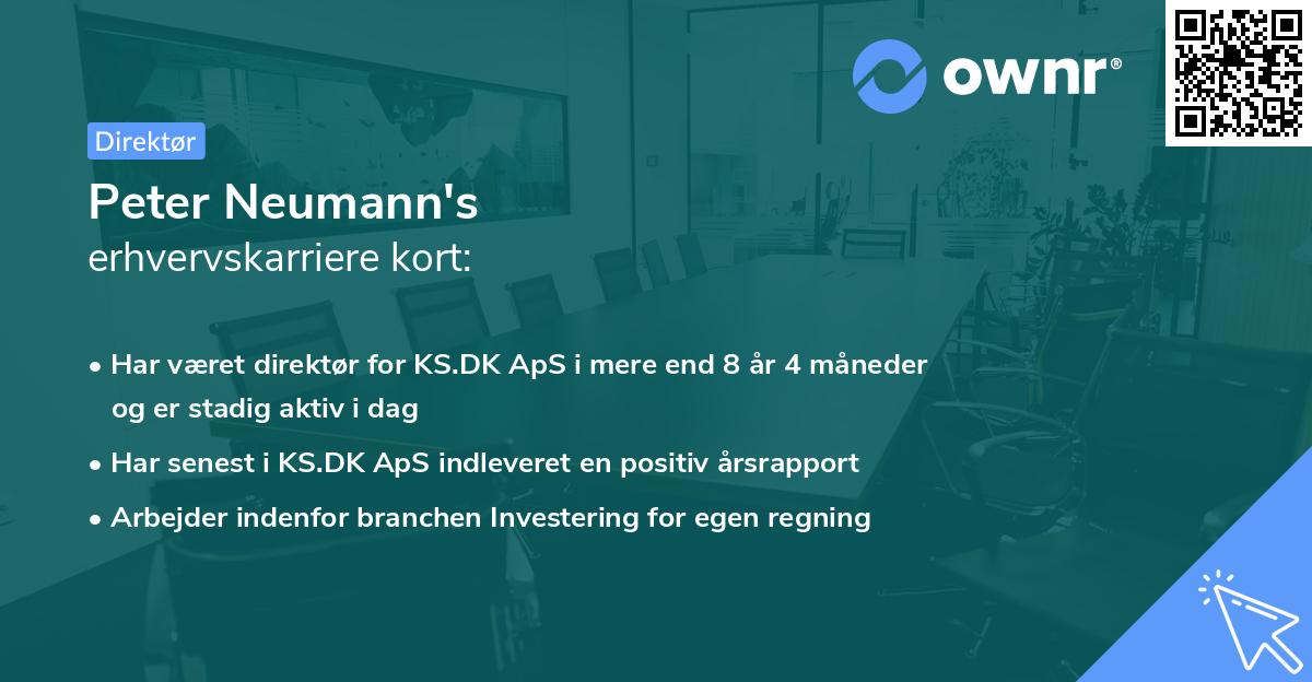 Peter Neumann's erhvervskarriere kort
