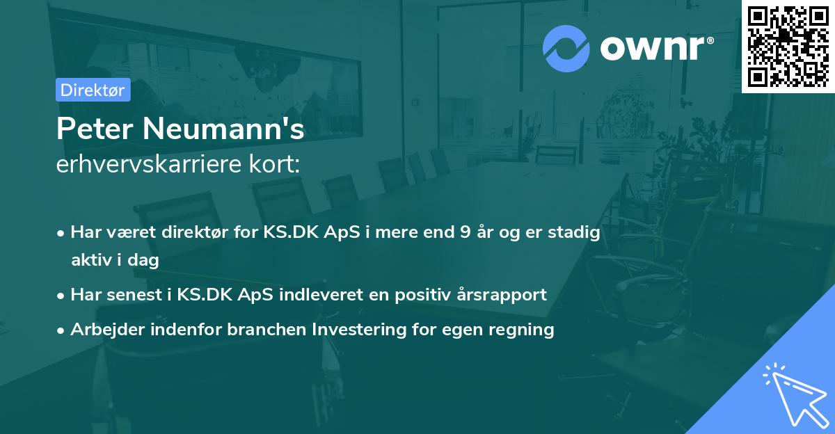 Peter Neumann's erhvervskarriere kort