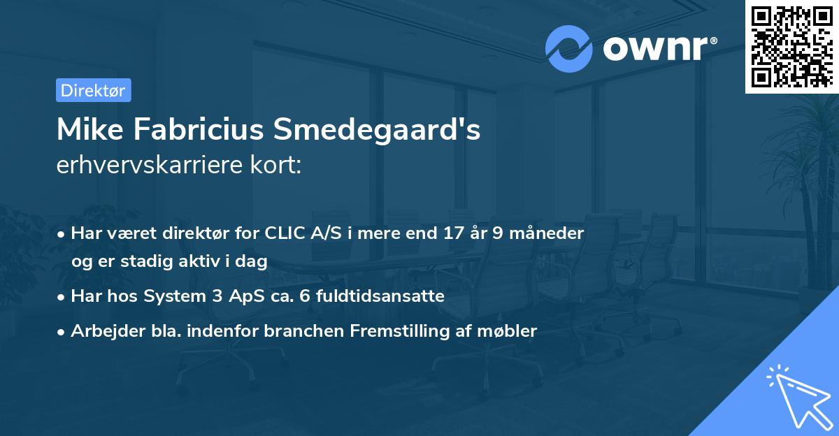 Mike Fabricius Smedegaard's erhvervskarriere kort