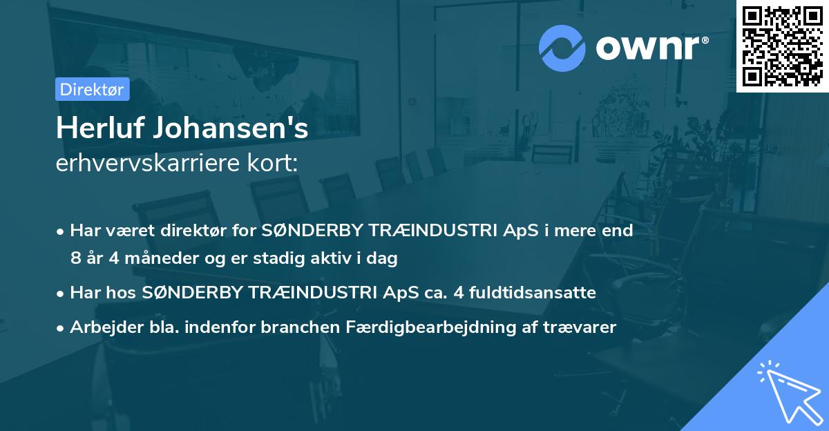 Herluf Johansen's erhvervskarriere kort
