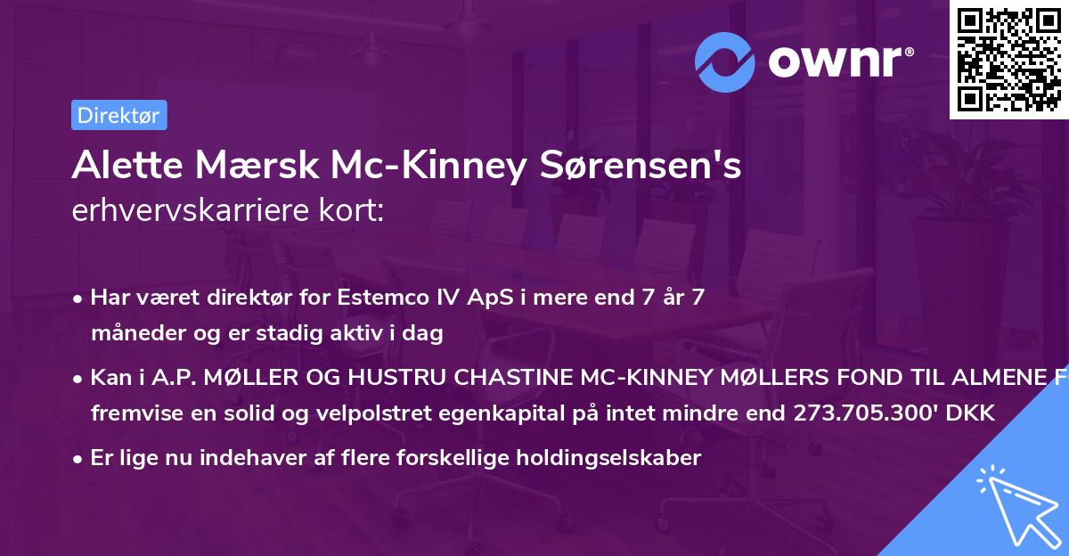 Alette Mærsk Mc-Kinney Sørensen's erhvervskarriere kort