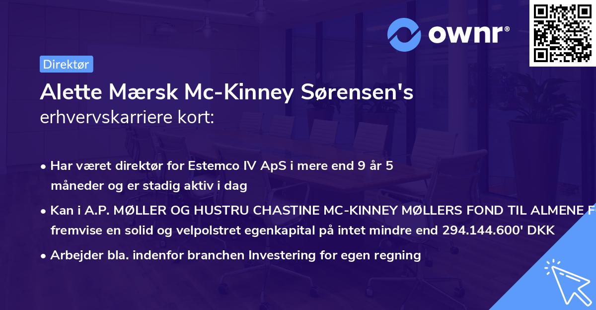 Alette Mærsk Mc-Kinney Sørensen's erhvervskarriere kort