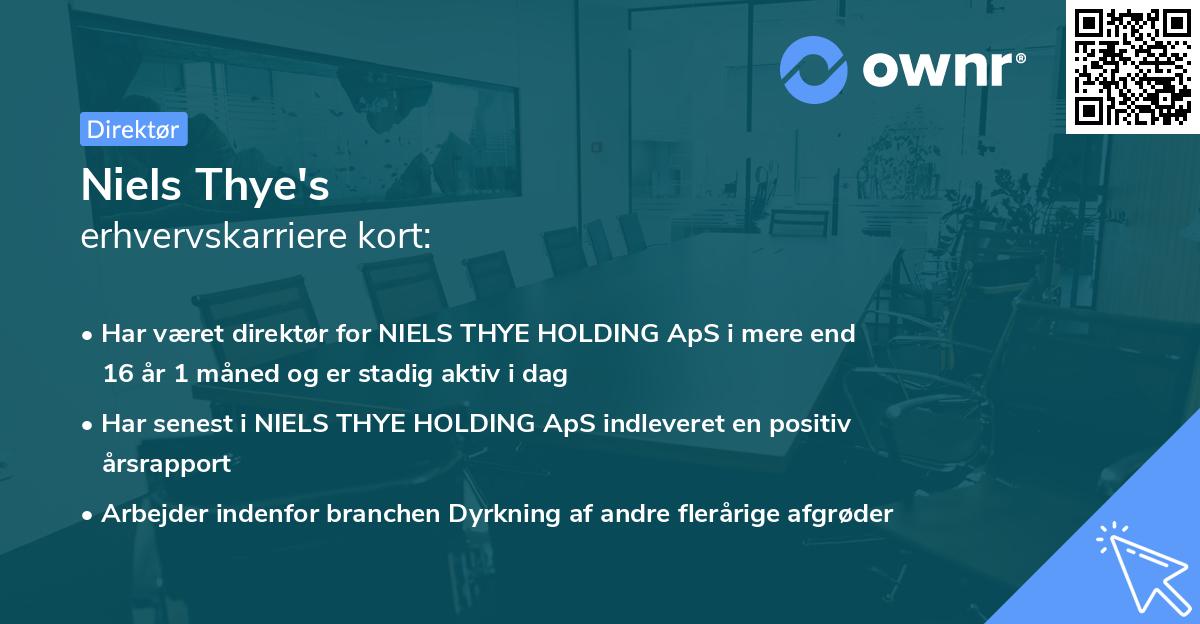 Niels Thye's erhvervskarriere kort