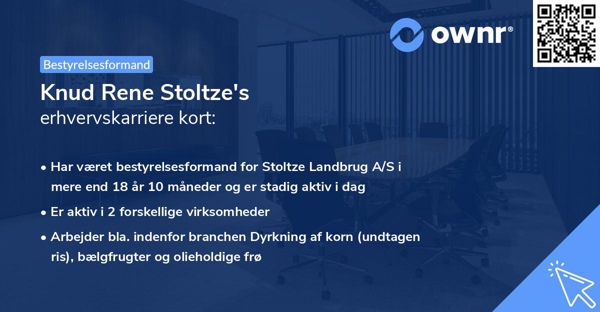 Knud Rene Stoltze's erhvervskarriere kort