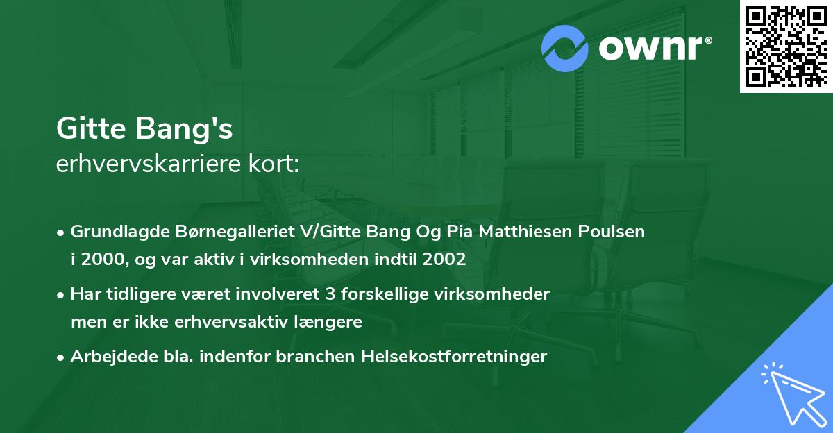 Gitte Bang's erhvervskarriere kort