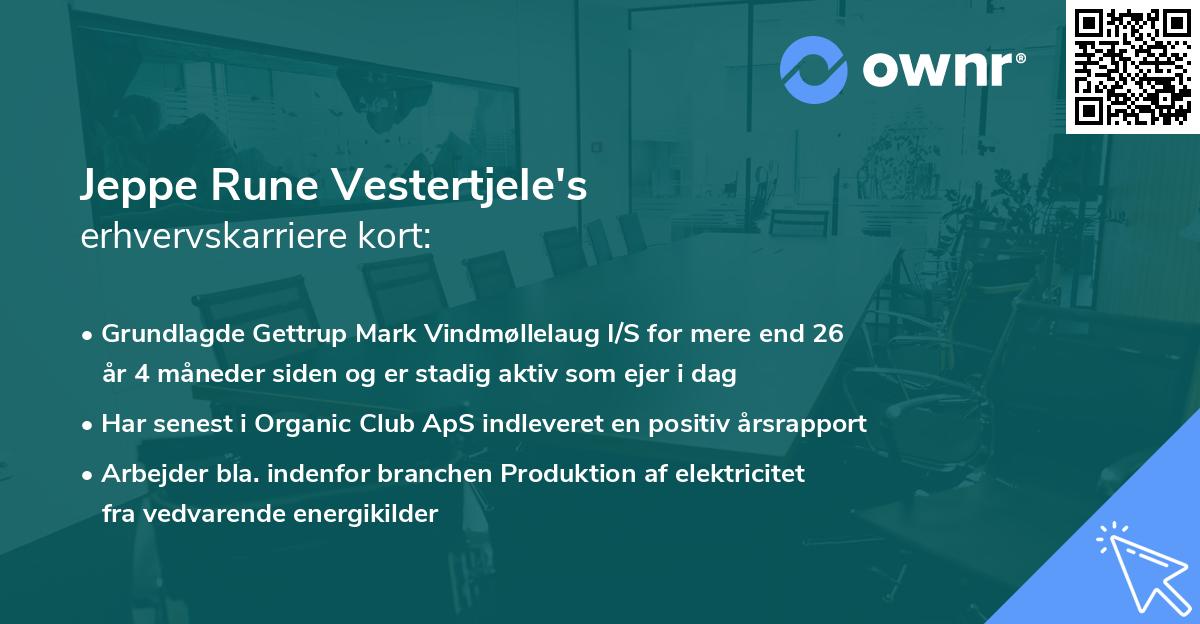 Jeppe Rune Vestertjele's erhvervskarriere kort