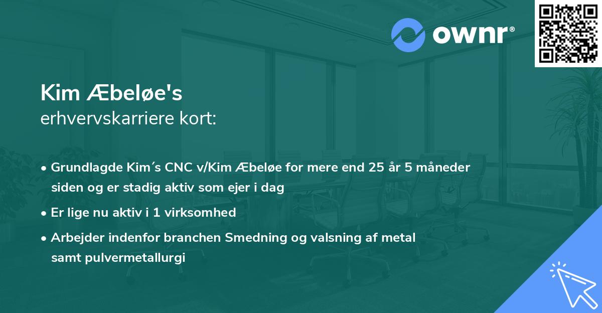Kim Æbeløe's erhvervskarriere kort