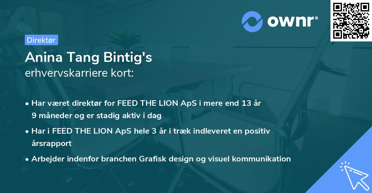 Anina Tang Bintig's erhvervskarriere kort