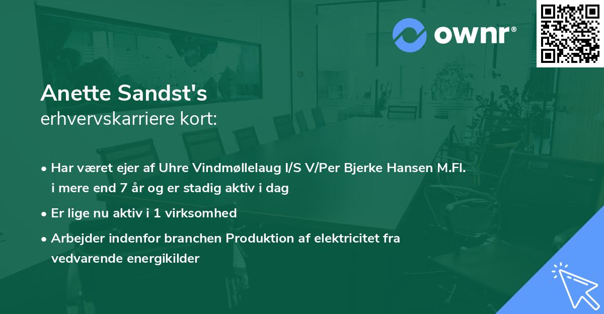 Anette Sandst's erhvervskarriere kort