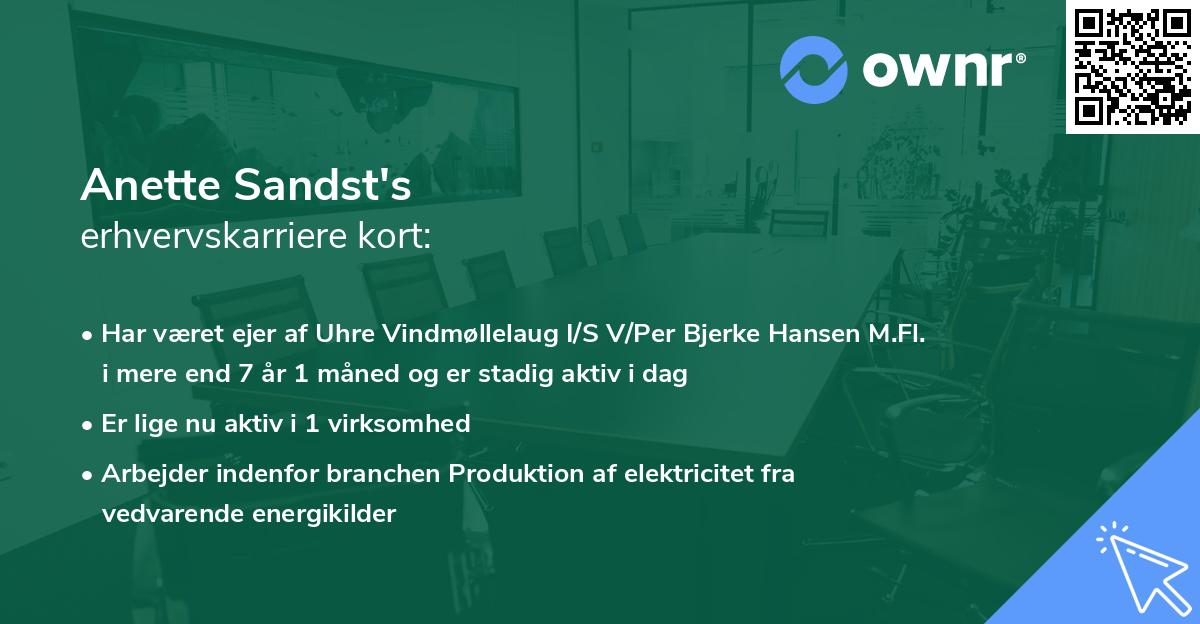 Anette Sandst's erhvervskarriere kort