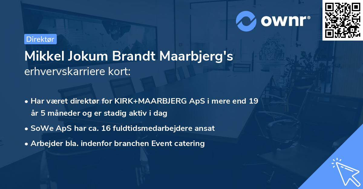 Mikkel Jokum Brandt Maarbjerg's erhvervskarriere kort