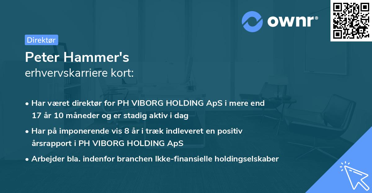 Peter Hammer's erhvervskarriere kort