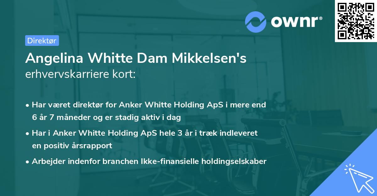 Angelina Whitte Dam Mikkelsen's erhvervskarriere kort