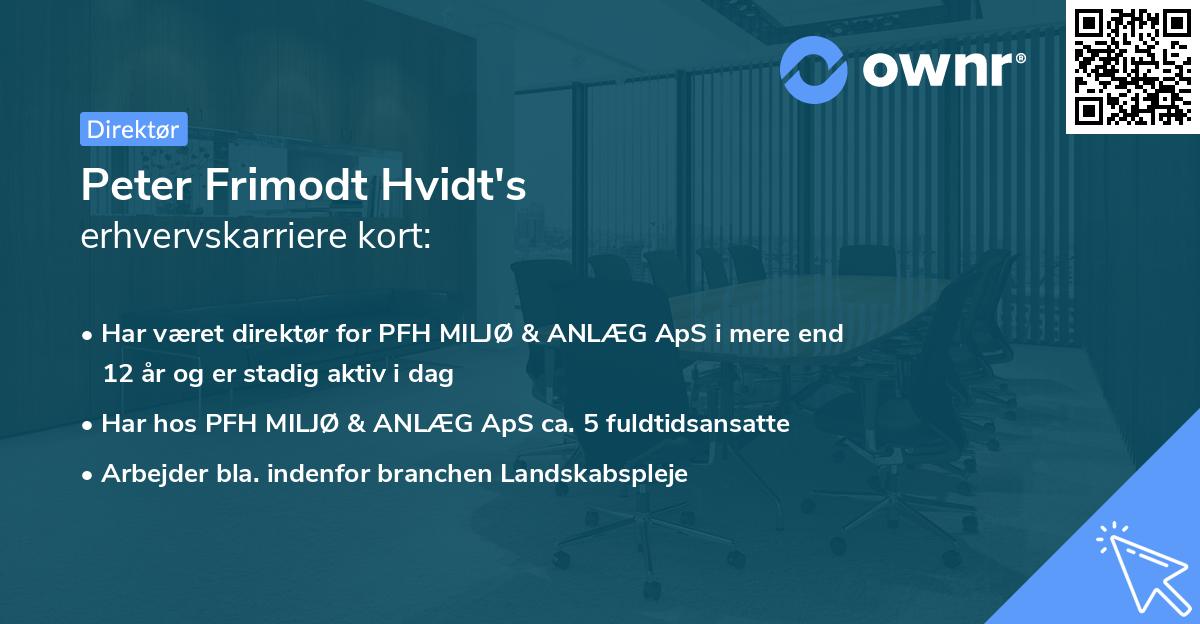 Peter Frimodt Hvidt's erhvervskarriere kort