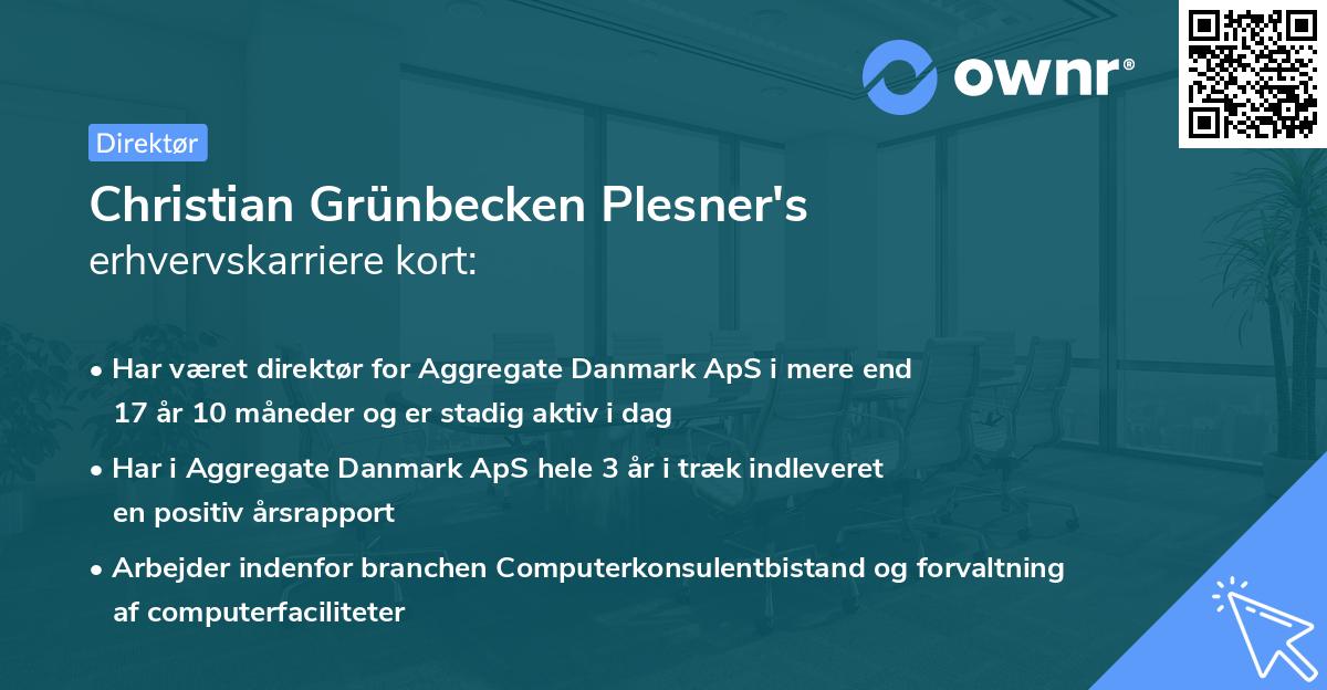 Christian Grünbecken Plesner's erhvervskarriere kort