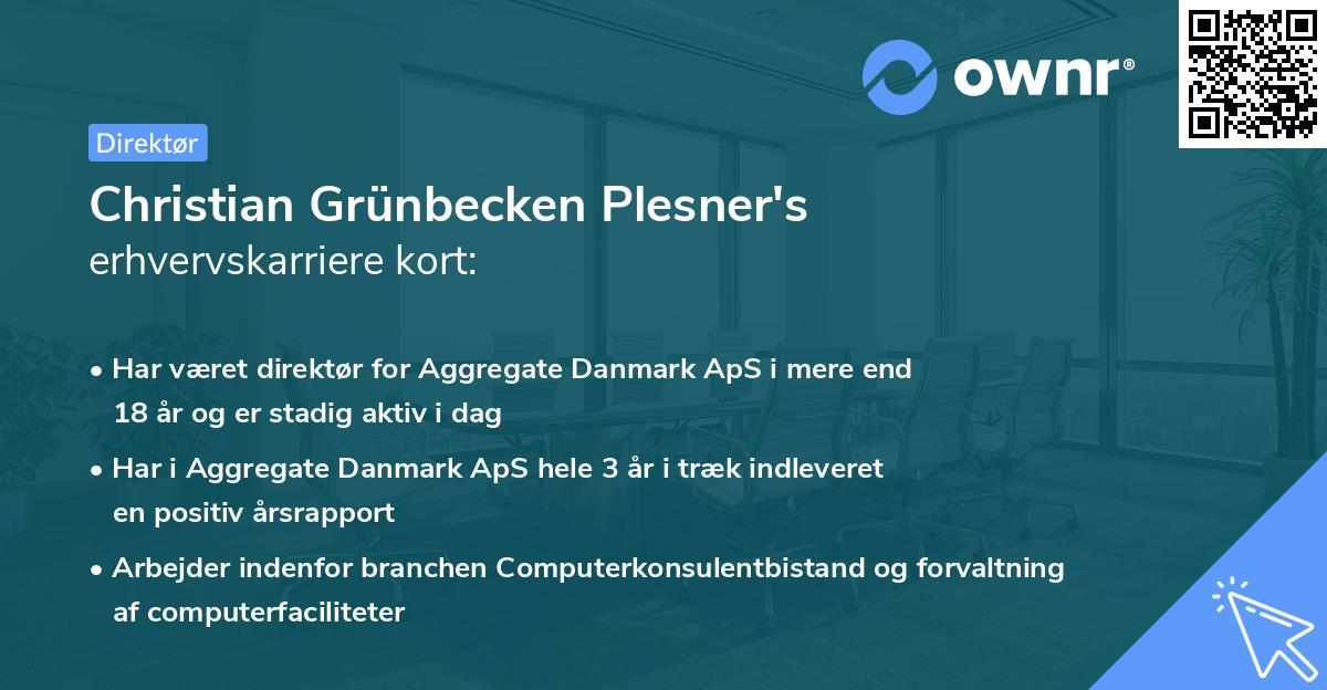 Christian Grünbecken Plesner's erhvervskarriere kort