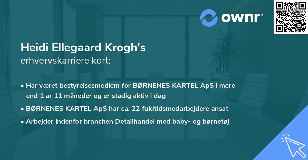 Heidi Ellegaard Krogh's erhvervskarriere kort