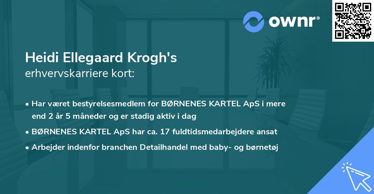 Heidi Ellegaard Krogh's erhvervskarriere kort