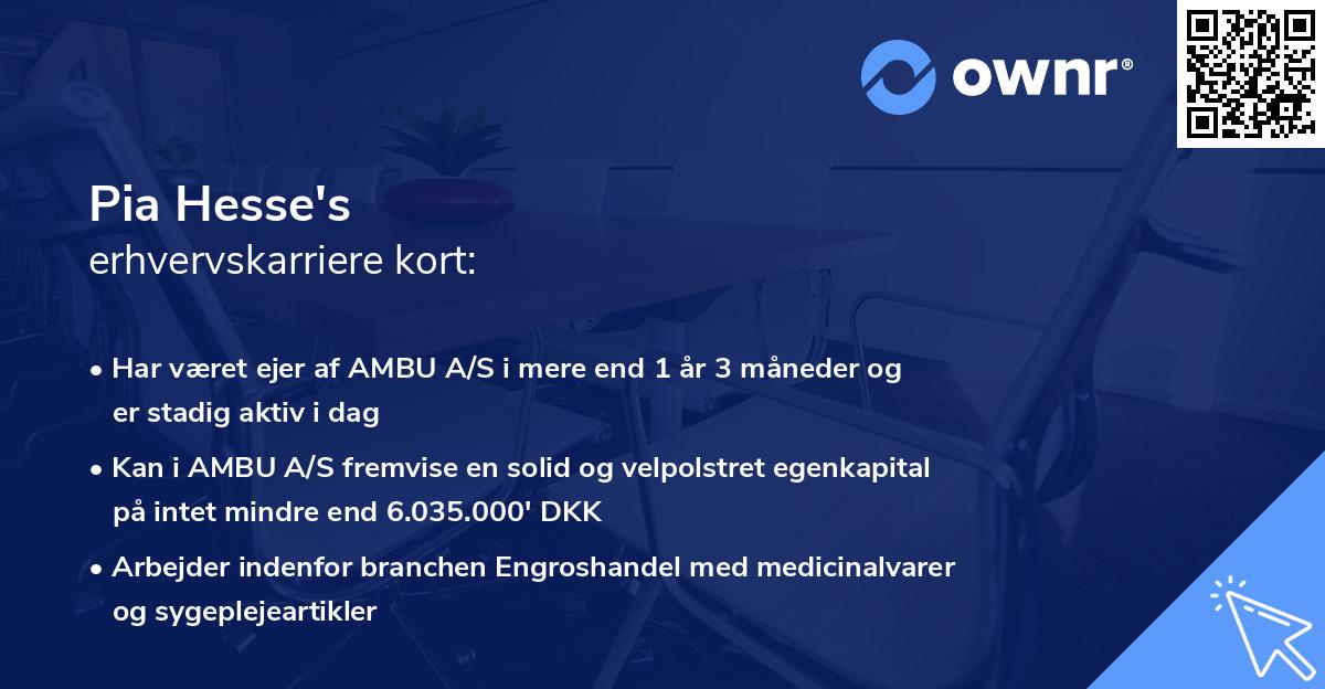 Pia Hesse's erhvervskarriere kort