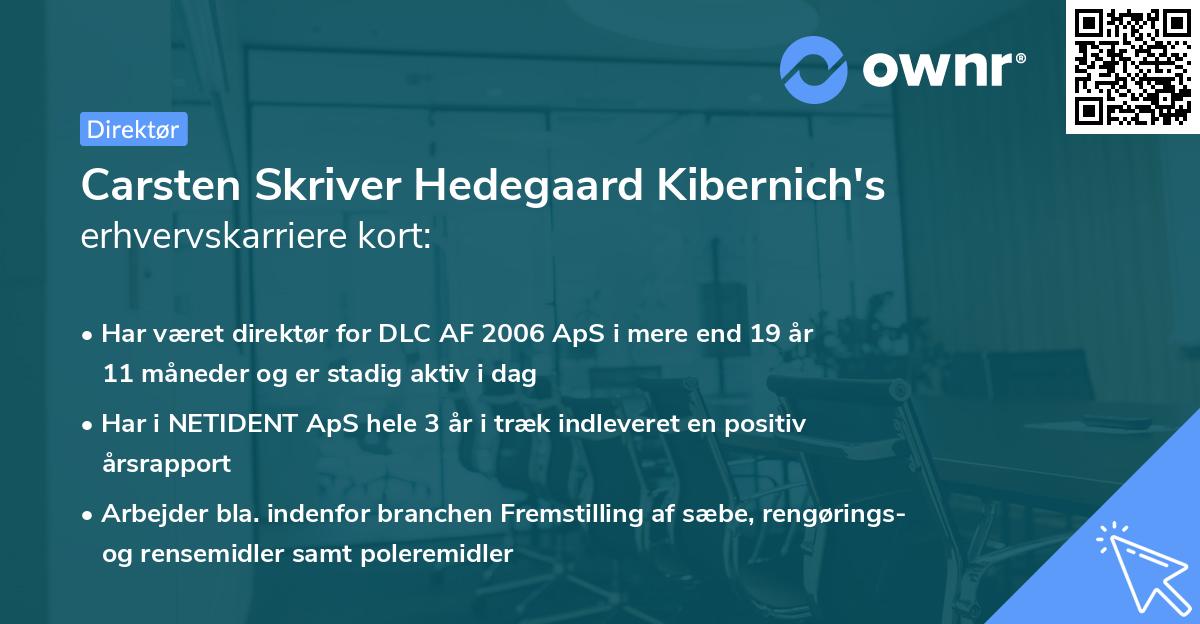 Carsten Skriver Hedegaard Kibernich's erhvervskarriere kort