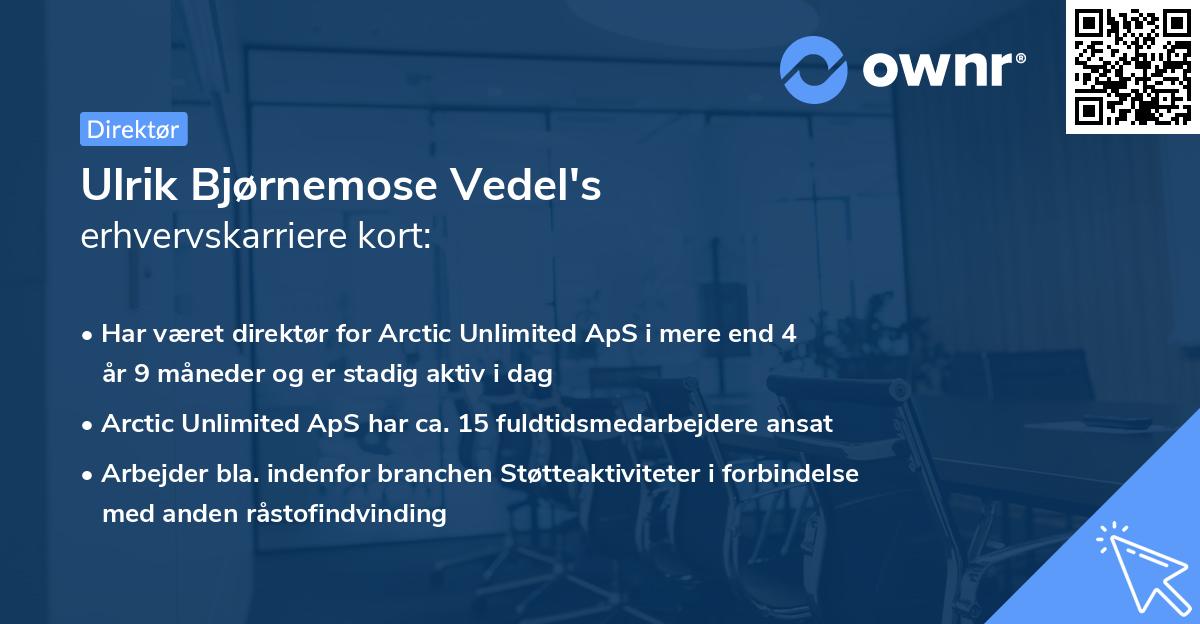 Ulrik Bjørnemose Vedel's erhvervskarriere kort
