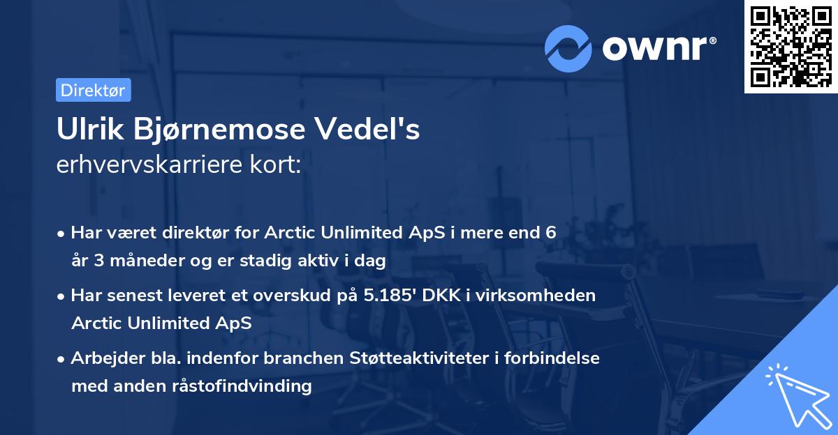 Ulrik Bjørnemose Vedel's erhvervskarriere kort
